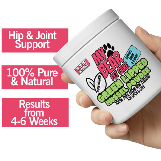 Hand holding a white container labeled 'My Bear Pet Care Green Lipped Mussel Powder' on a white background