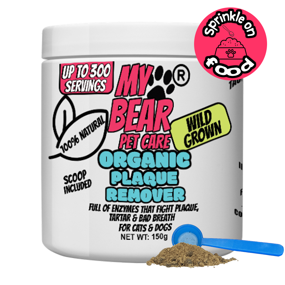 Organic Kelp Dental Powder – Plaque & Tartar Remover for Dogs & Cats Human Grade.