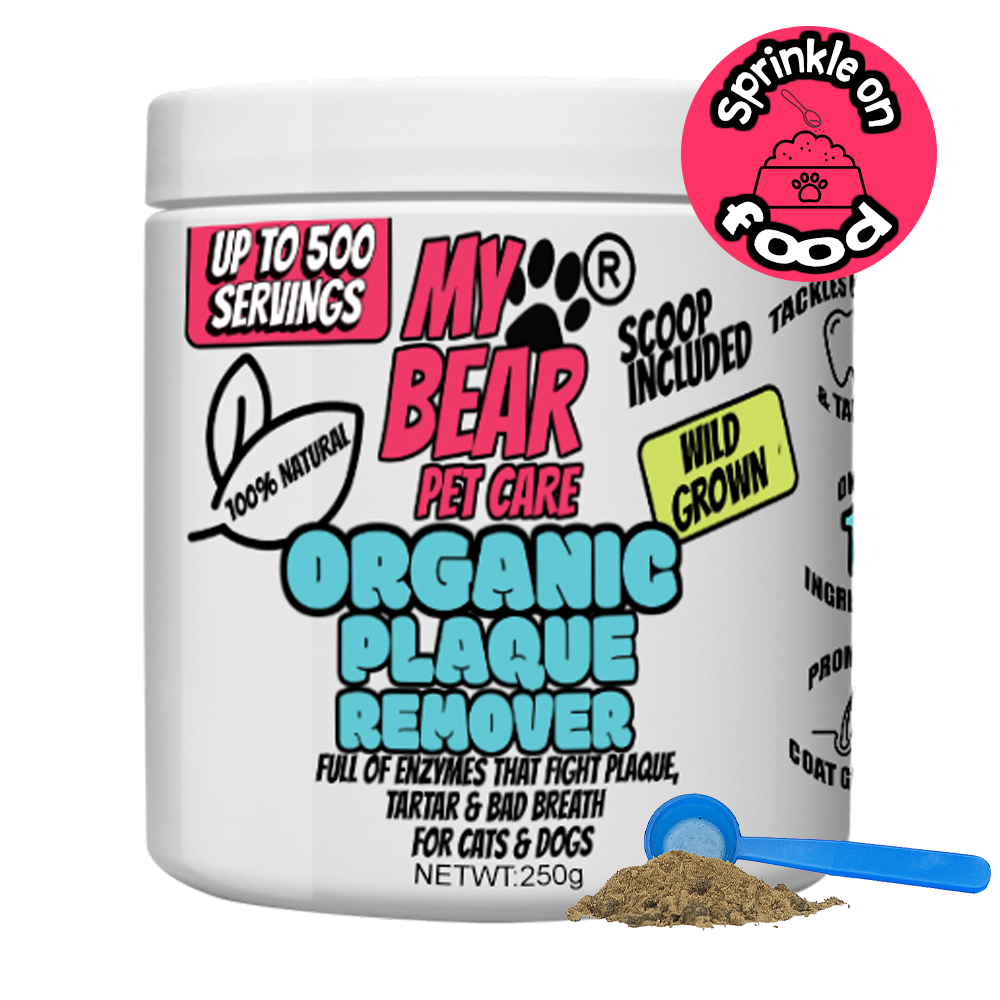 Organic Kelp Dental Powder – Plaque & Tartar Remover for Dogs & Cats Human Grade.
