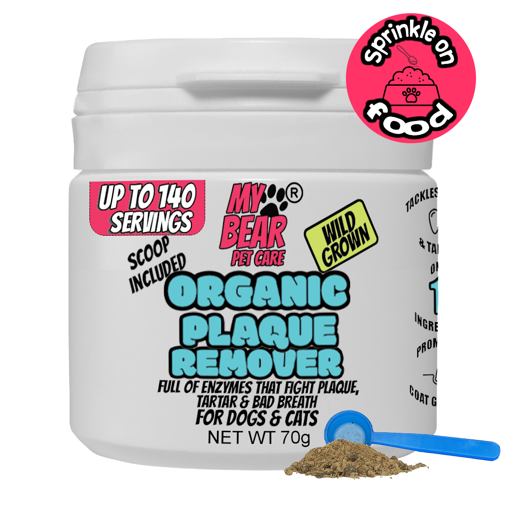 Organic Kelp Dental Powder – Plaque & Tartar Remover for Dogs & Cats Human Grade.