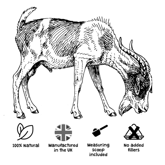 100% goat’s milk powder for pets – gentle topper for digestion & sensitive tummies makes upto 7 pints - My Bear Pet Care