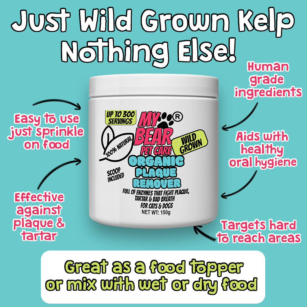 PLAQUE & TARTAR REMOVER CARE FOR DOGS & CATS- 100% ORGANIC KELP DENTAL HEALTH POWDER FOOD TOPPER HUMAN GRADE