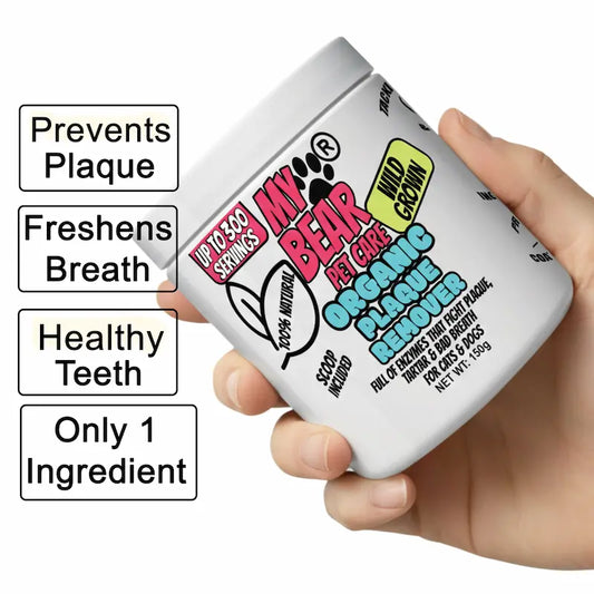 Hand holding a container of 'My Bear Pet Care' organic plaque remover with text highlighting benefits on a white background.