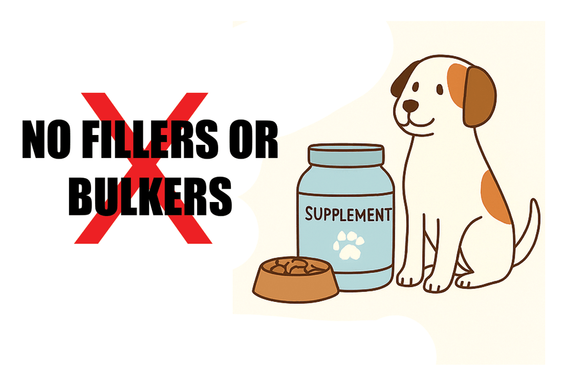 What’s Really Inside Popular Pet Supplements? - My Bear Pet Care