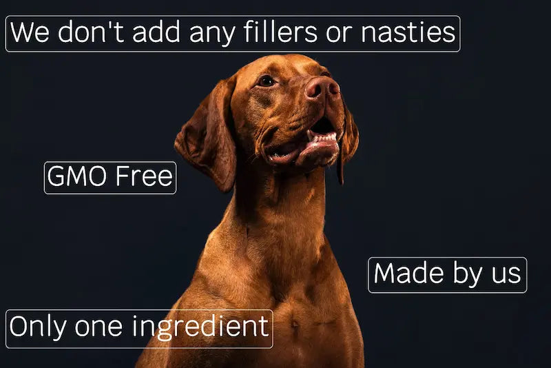 Brown dog with text about GMO-free and single-ingredient product on a black background