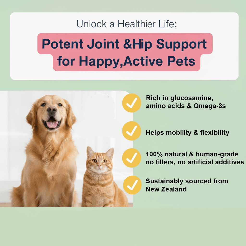Green lipped mussel powder joint supplement for dogs & cats – 100% pure, rich in omega - 3s, New Zealand sourced