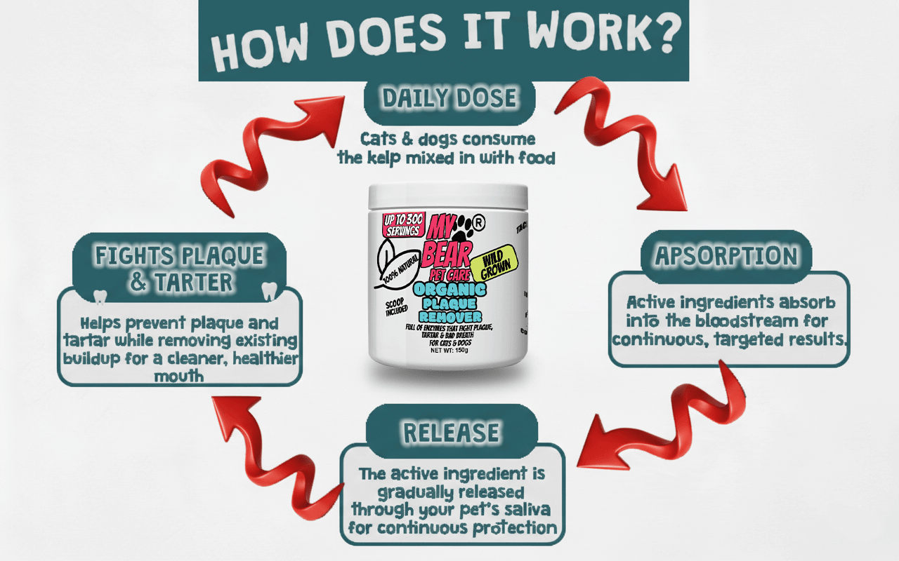 Kelp Dental Powder Organic – Plaque & Tartar Remover for Dogs & Cats Human Grade Plaque Off - My Bear Pet Care