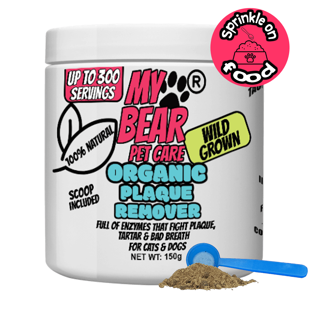 Kelp Dental Powder Organic – Plaque & Tartar Remover for Dogs & Cats Human Grade Plaque Off - My Bear Pet Care