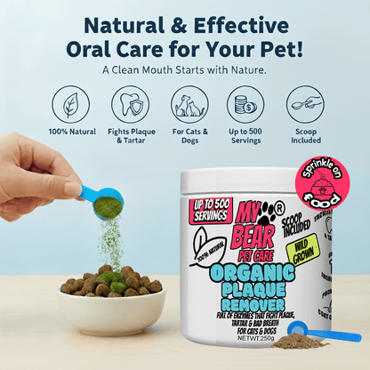 Kelp Dental Powder Organic – Plaque & Tartar Remover for Dogs & Cats Human Grade Plaque Off - My Bear Pet Care