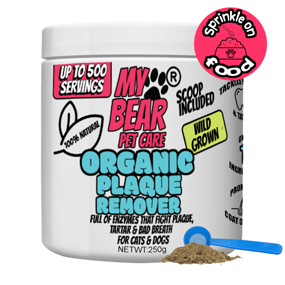 Kelp Dental Powder Organic – Plaque & Tartar Remover for Dogs & Cats Human Grade Plaque Off - My Bear Pet Care