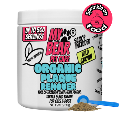 Organic Kelp Dental Powder – Plaque & Tartar Remover for Dogs & Cats Human Grade.