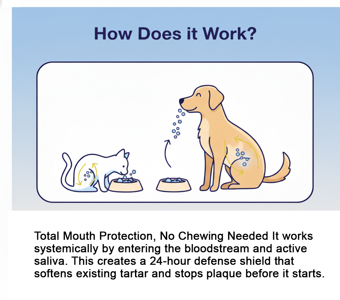 mbpc_kelp_how_does_it_work