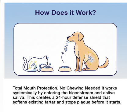 mbpc_kelp_how_does_it_work