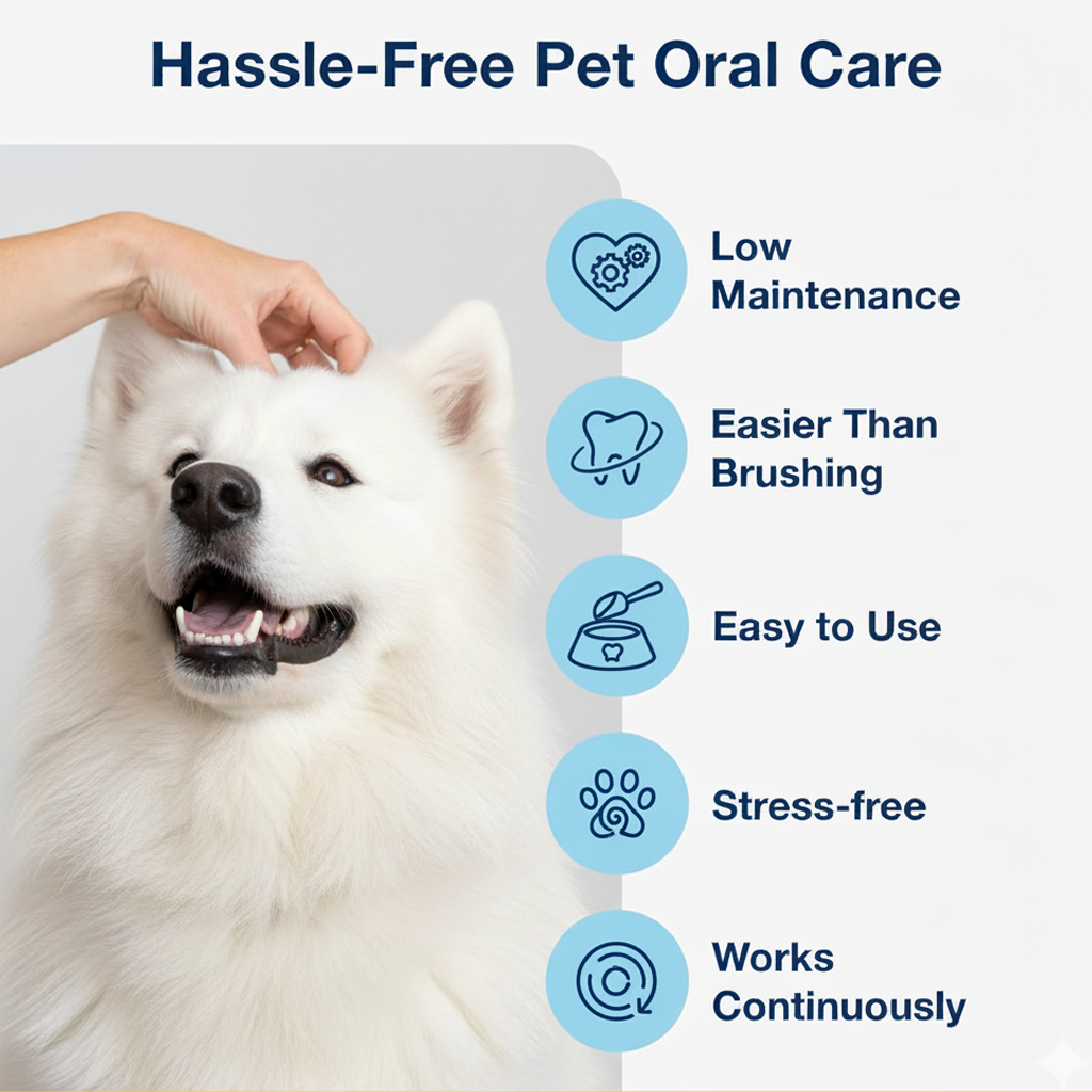 White dog being petted with text on hassle-free pet oral care and features.  Plaque off
