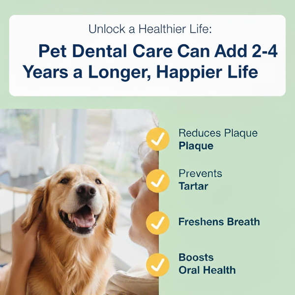 Dog being petted with text about pet dental care benefits on a green background  Plaque off