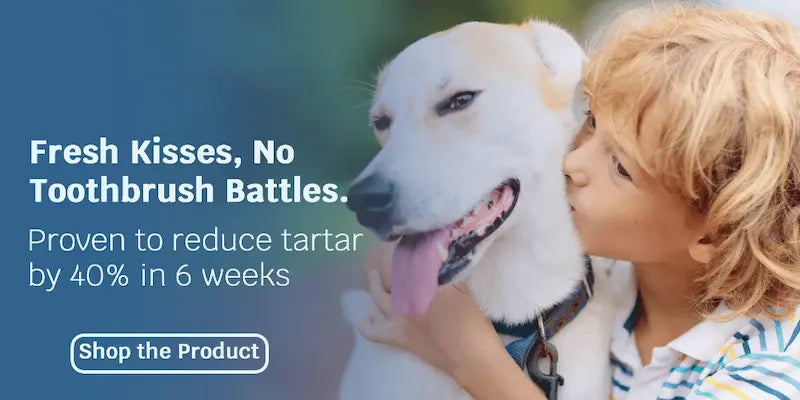 Child kissing a white dog with promotional text about dental care product.