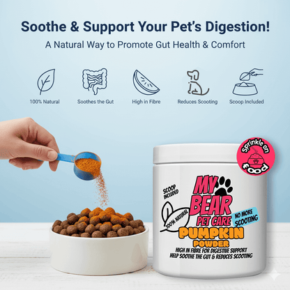 Pumpkin powder for dogs – 100% natural digestive & anal gland support 250g - My Bear Pet Care
