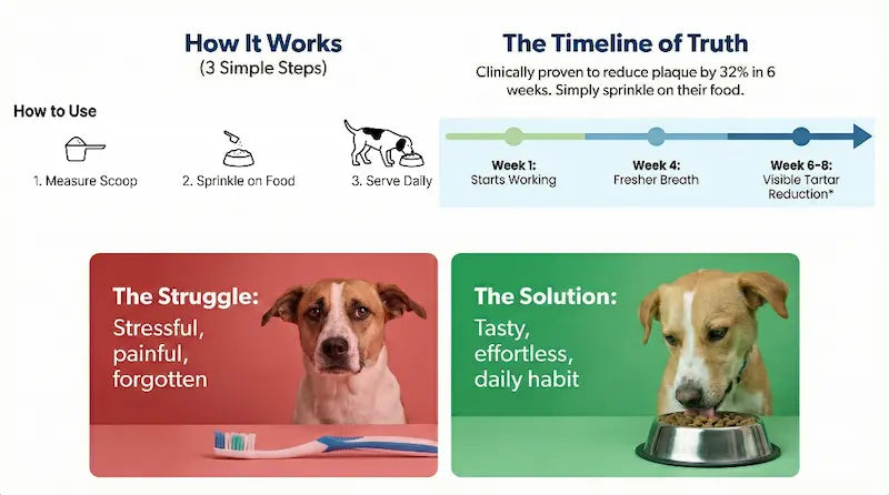 Dog dental care product advertisement with step-by-step guide and timeline of results.