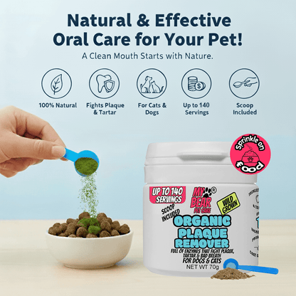 Kelp Dental Powder Organic – Plaque & Tartar Remover for Dogs & Cats Human Grade Plaque Off - My Bear Pet Care