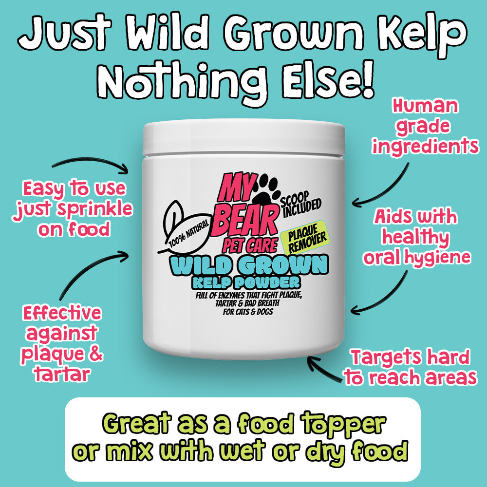 PLAQUE & TARTAR REMOVER CARE FOR DOGS & CATS- 100% NATURAL GROUND KELP FOR DENTAL HEALTH POWDER FOOD TOPPER HUMAN GRADE