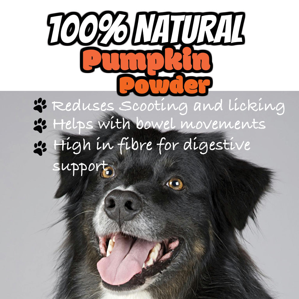 PUMPKIN POWDER PUREE 100% NATURAL FOR DOGS DOG FOOD TOPPER AIDS DIGESTION 250g HUMAN GRADE